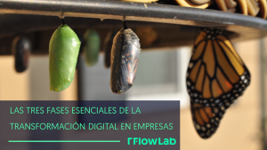 Explora las tres fases esenciales de la transformación digital en empresas con TFlowLab: desde la digitalización de procesos internos hasta la expansión global.